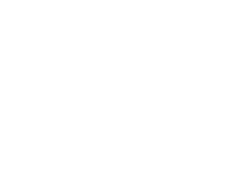 DM Robotics Team 2852